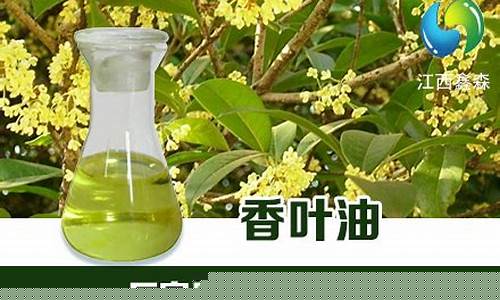 香叶油价格是多少-香叶籽油多少钱1斤