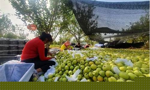 喀什地区油价下次调整-新疆喀什最新油价