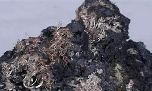 黑胶汞的激活油价格-黑胶汞多少钱一公斤